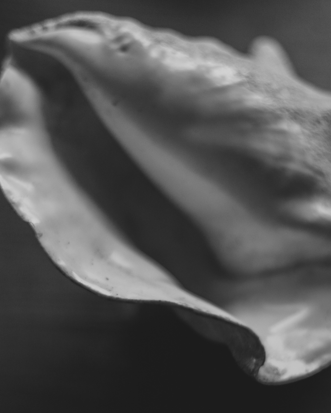 Luxury Brand Positioning