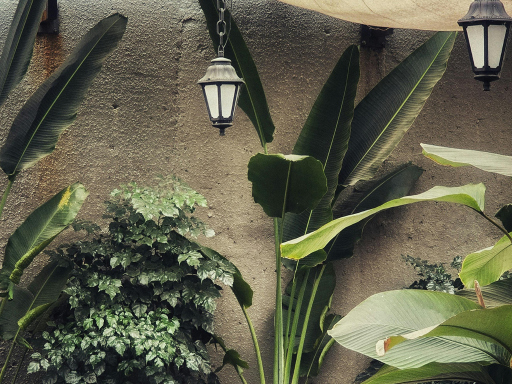 Building a Brand That Outlasts Every Trend